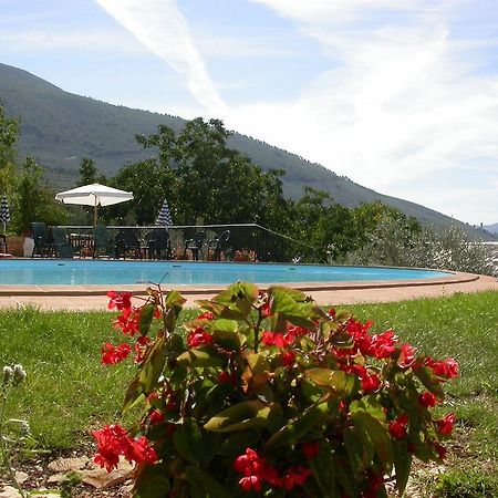Agriturismo I Mandorli Trevi Eksteriør bilde