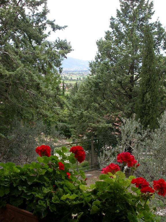 Agriturismo I Mandorli Trevi Eksteriør bilde